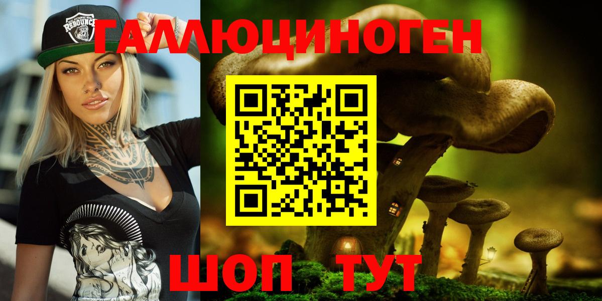 Знаменск  Псилоцибиновые грибы Psilocybine cubensis  Вход с VPN 